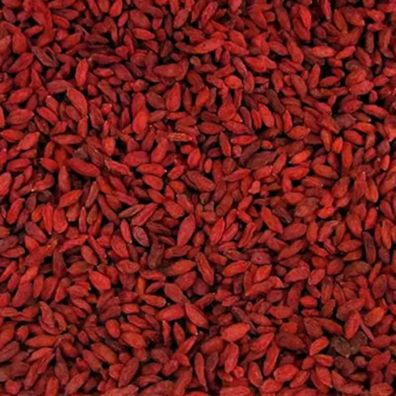GOJI BERRY 100g 